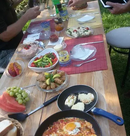 Cici's Pansion B&B