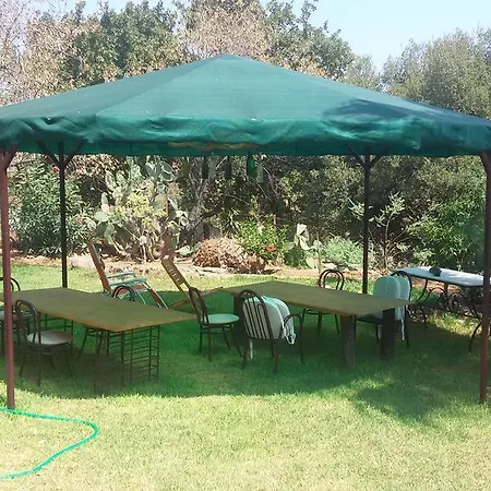 Cici's Pansion Datca